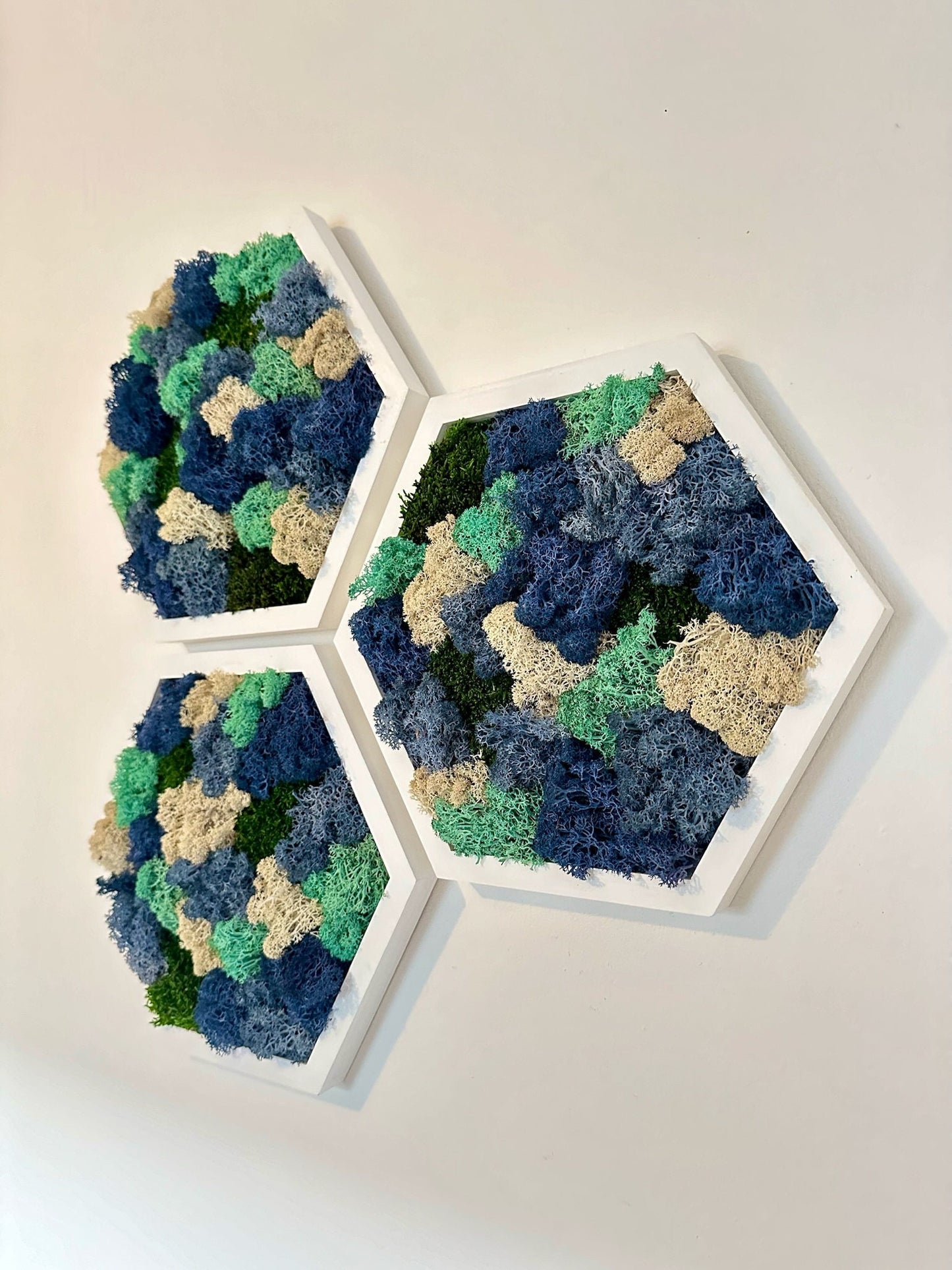 Moss Wall Art Decor | Handmade Wood Hexagon | Single Set to Six (8" x 9") | Preserved Lichen, Pole, Sheet Moss & Fern
