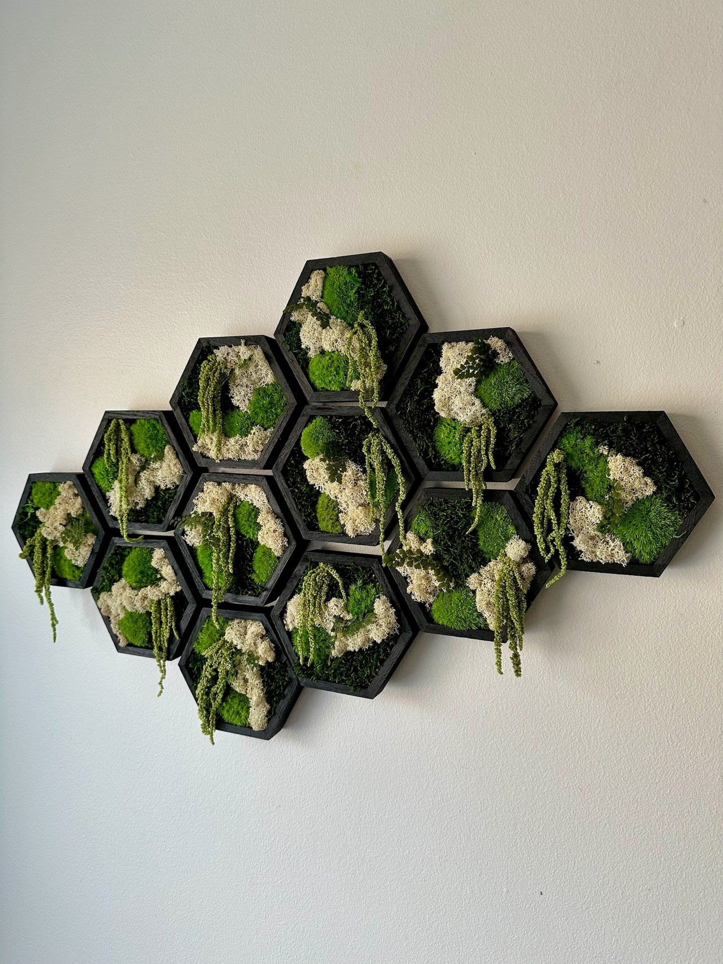 Moss Wall Art Decor | Handmade Wood Hexagon | Single Set to Six (8" x 9") or (10" x 11.6") | Preserved Lichen, Pole, Sheet Moss & Fern