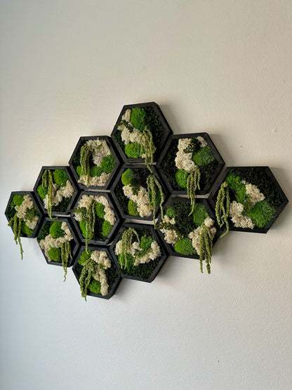 Moss Wall Art Decor | Handmade Wood Hexagon | Single Set to Six (8" x 9") or (10" x 11.6") | Preserved Lichen, Pole, Sheet Moss & Fern