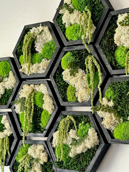 Moss Wall Art Decor | Handmade Wood Hexagon | Single Set to Six (8" x 9") or (10" x 11.6") | Preserved Lichen, Pole, Sheet Moss & Fern