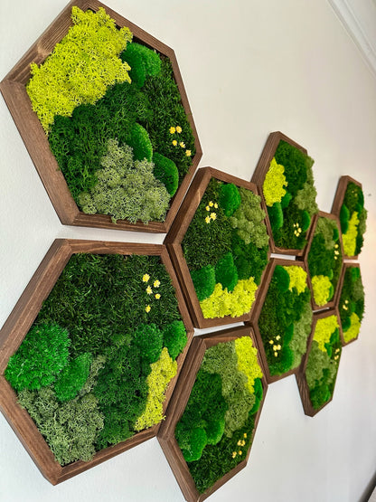 Handmade Preserved Moss Wall Art: Wood Hexagon Decor | USA - TARIFF FREE