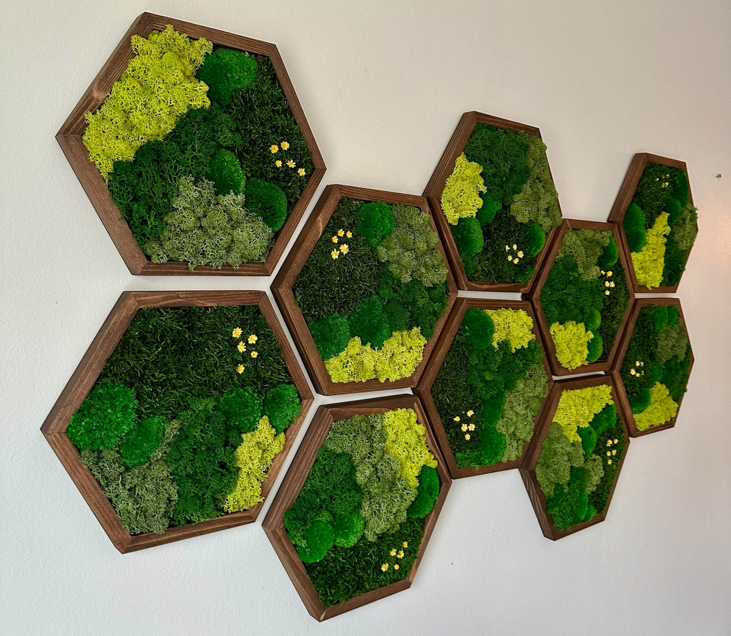 Handmade Preserved Moss Wall Art: Wood Hexagon Decor | USA - TARIFF FREE