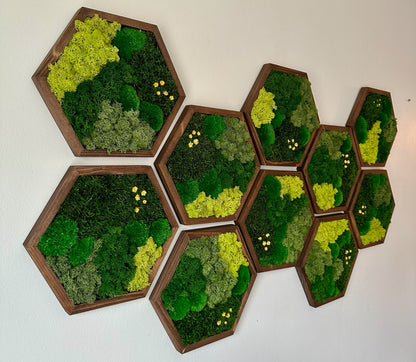 Handmade Preserved Moss Wall Art: Wood Hexagon Decor | USA - TARIFF FREE