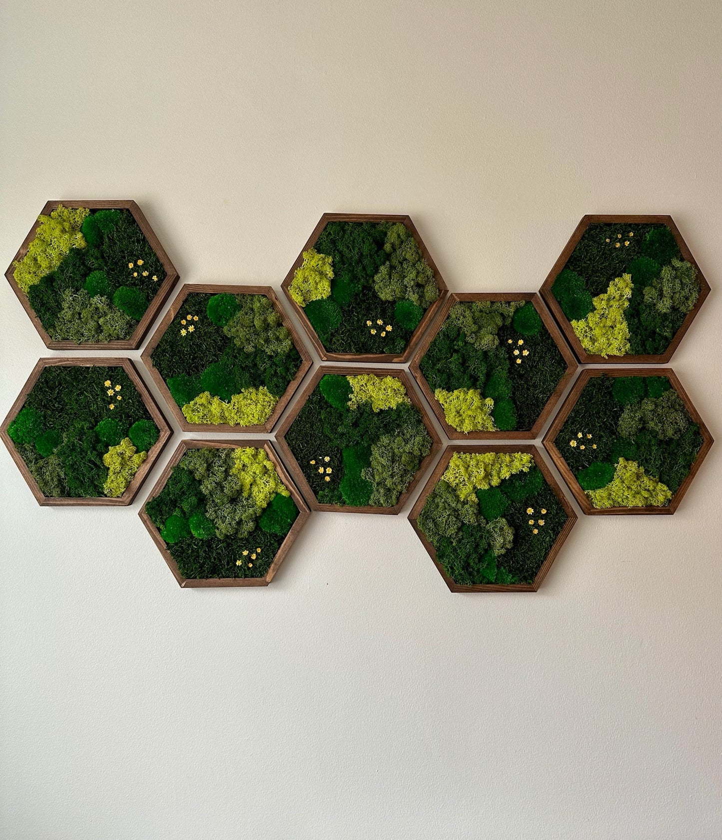 Handmade Preserved Moss Wall Art: Wood Hexagon Decor | USA - TARIFF FREE