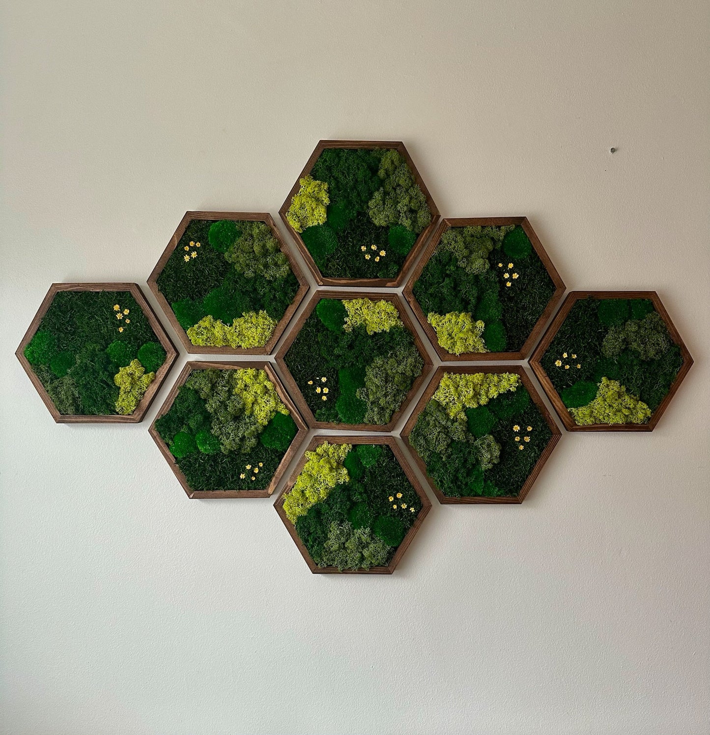Handmade Preserved Moss Wall Art: Wood Hexagon Decor | USA - TARIFF FREE