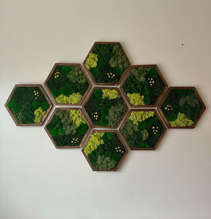 Handmade Preserved Moss Wall Art: Wood Hexagon Decor | USA - TARIFF FREE