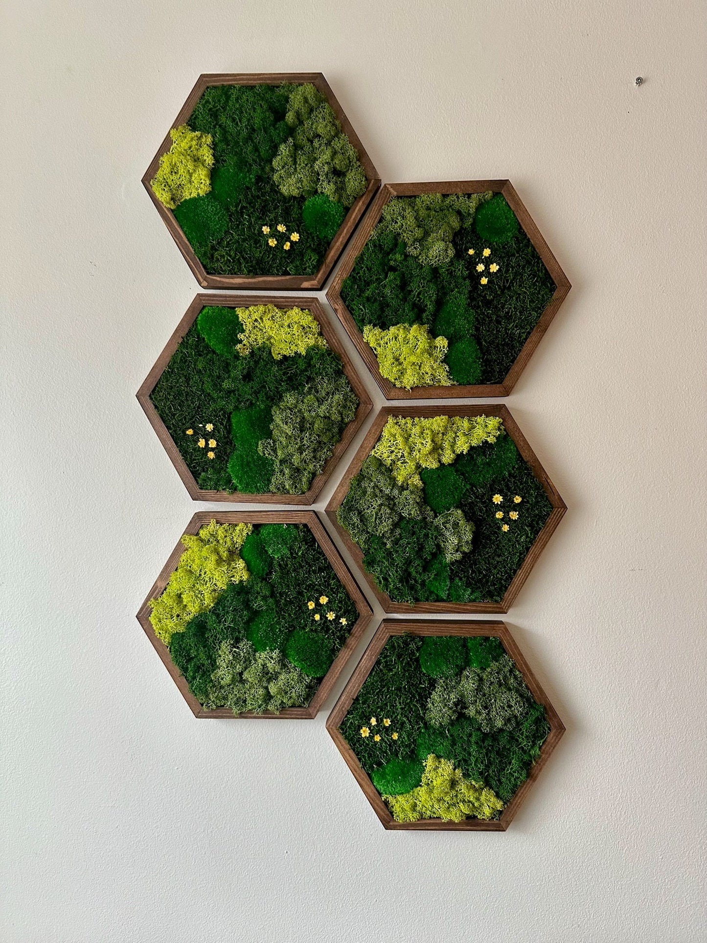 Handmade Preserved Moss Wall Art: Wood Hexagon Decor | USA - TARIFF FREE