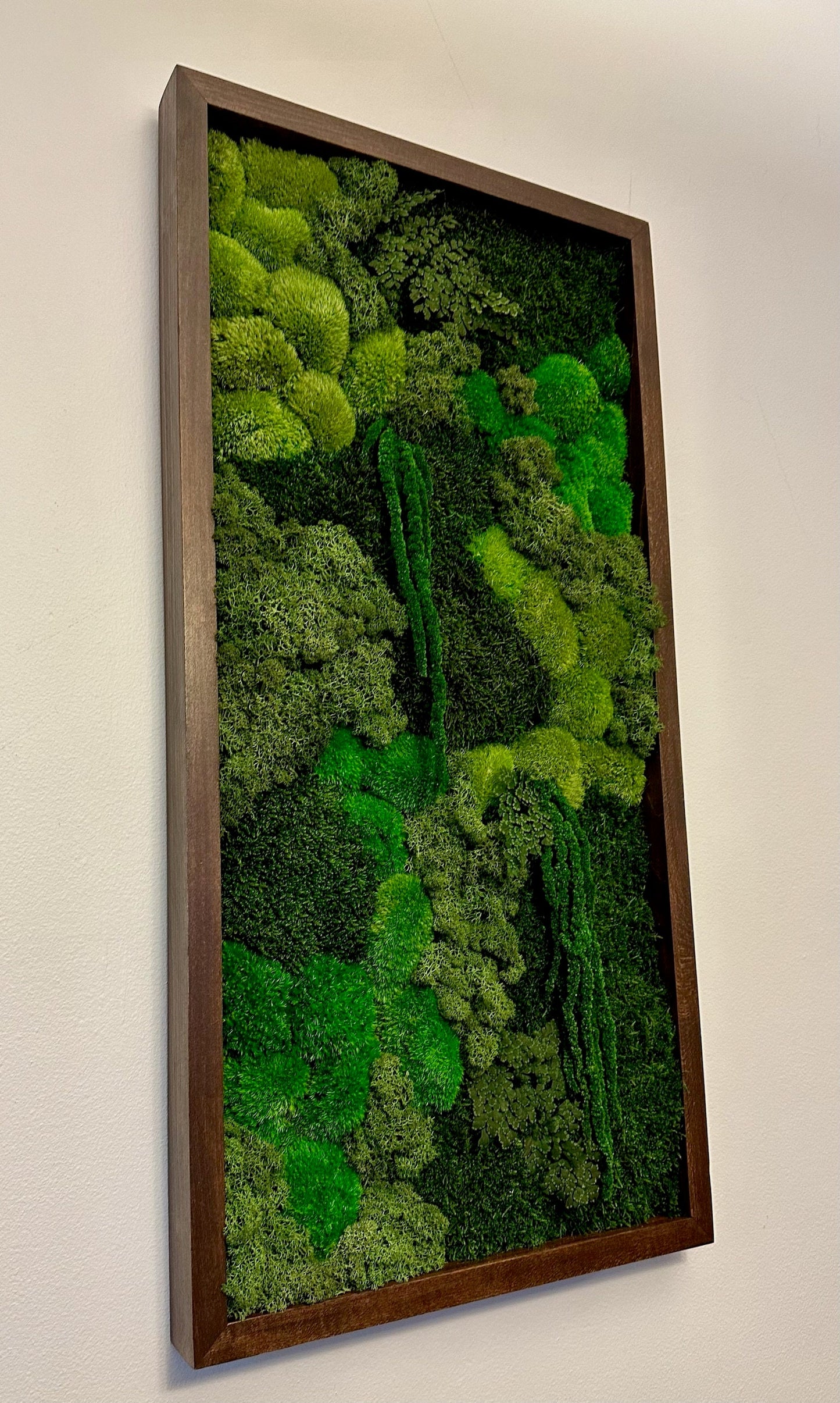 Preserved Reindeer Moss Wall Art: Wood Frame, Greenery Decor (15" x 30")