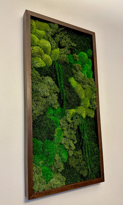 Preserved Reindeer Moss Wall Art: Wood Frame, Greenery Decor (15" x 30")