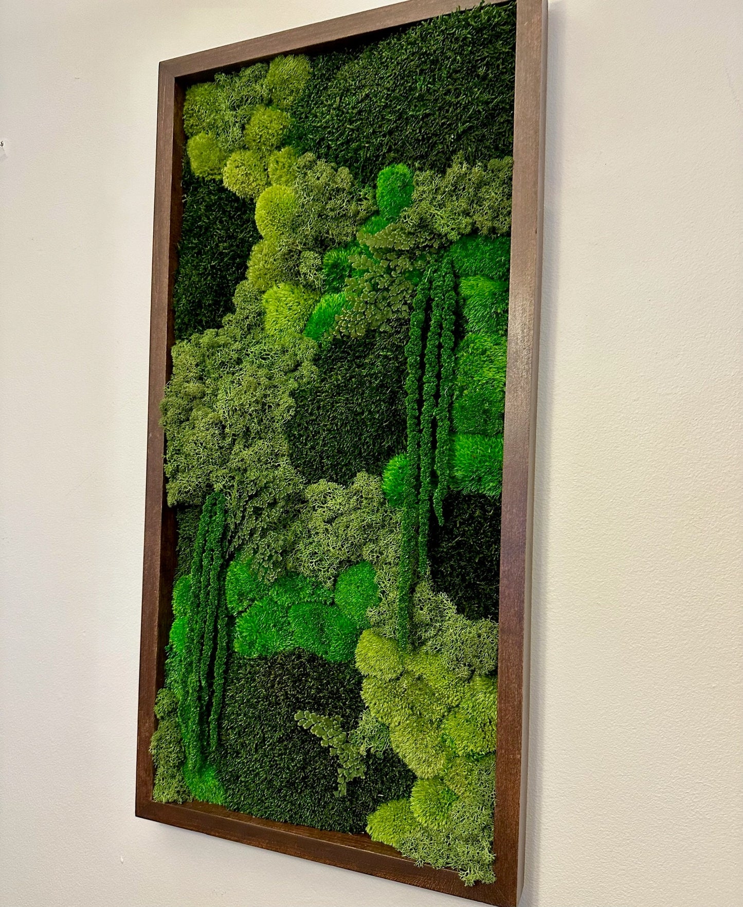 Preserved Reindeer Moss Wall Art: Wood Frame, Greenery Decor (15" x 30")