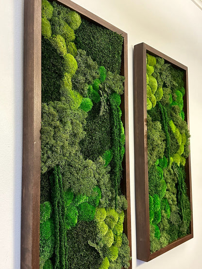 Preserved Reindeer Moss Wall Art: Wood Frame, Greenery Decor (15" x 30")