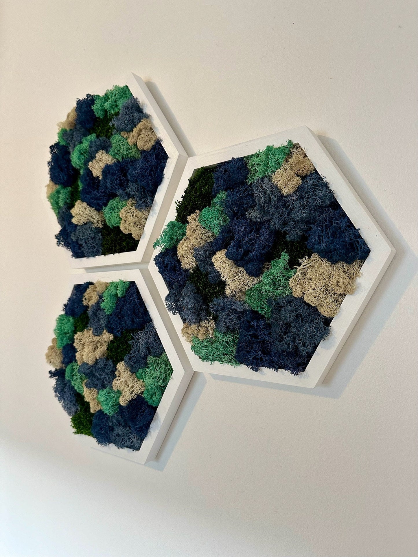 Moss Wall Art Decor | Handmade Wood Hexagon | Single Set to Six (8" x 9") | Preserved Lichen, Pole, Sheet Moss & Fern