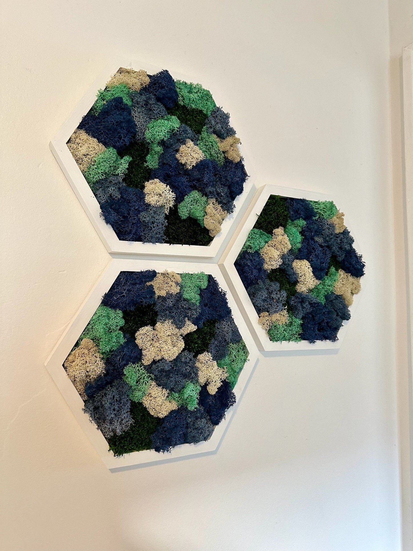 Moss Wall Art Decor | Handmade Wood Hexagon | Single Set to Six (8" x 9") | Preserved Lichen, Pole, Sheet Moss & Fern