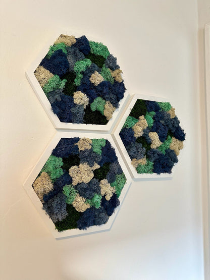 Moss Wall Art Decor | Handmade Wood Hexagon | Single Set to Six (8" x 9") | Preserved Lichen, Pole, Sheet Moss & Fern