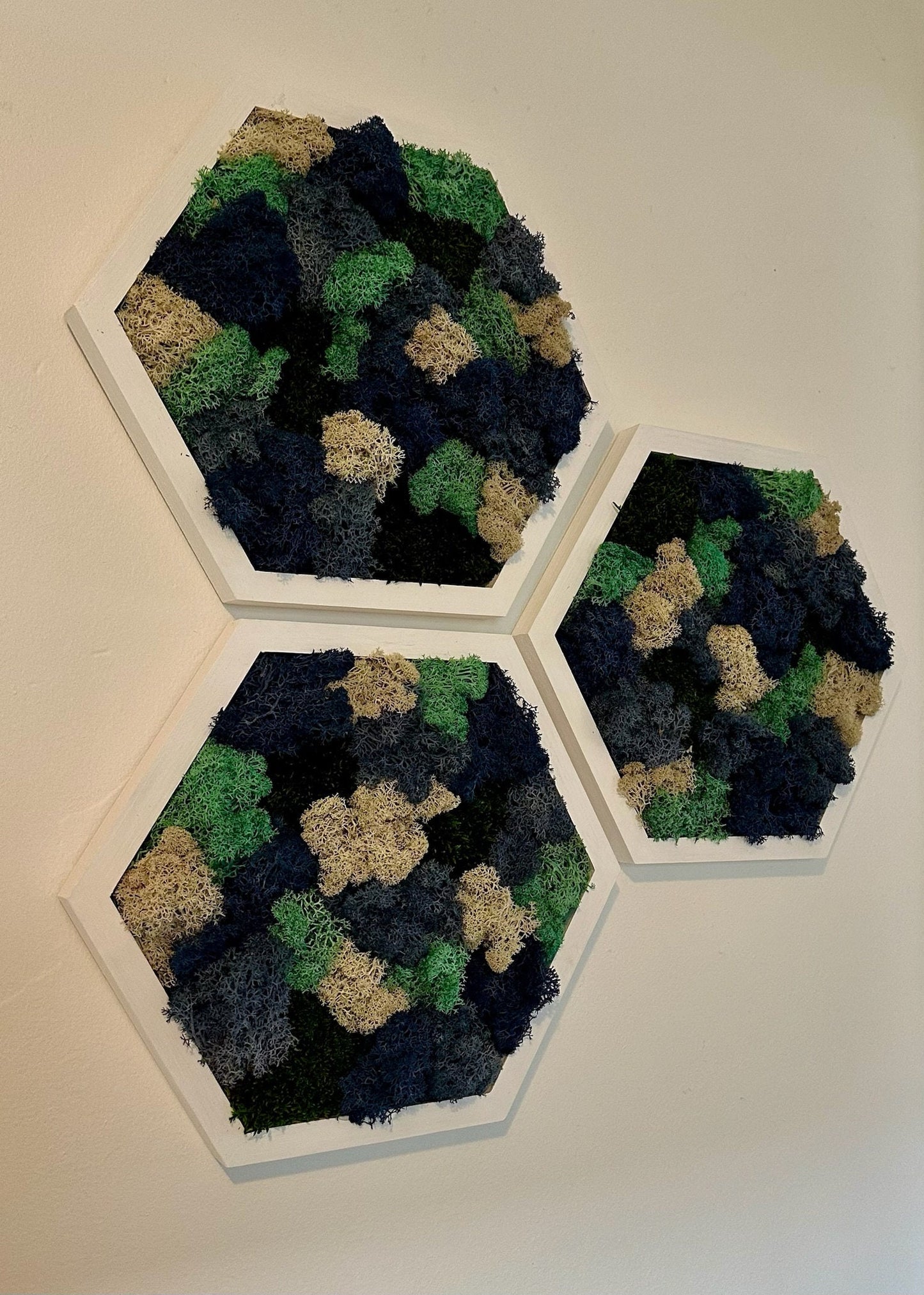 Moss Wall Art Decor | Handmade Wood Hexagon | Single Set to Six (8" x 9") | Preserved Lichen, Pole, Sheet Moss & Fern