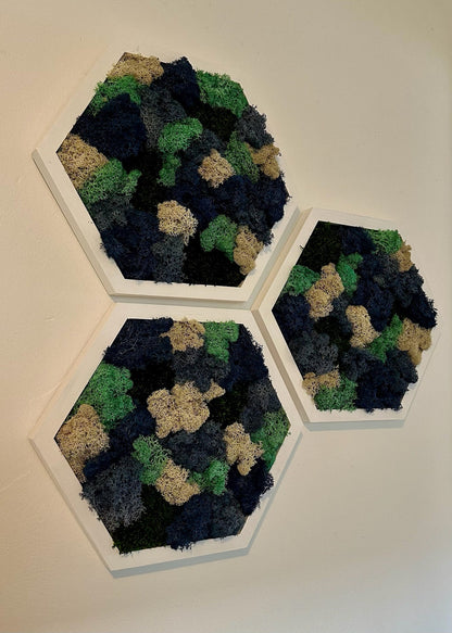 Moss Wall Art Decor | Handmade Wood Hexagon | Single Set to Six (8" x 9") | Preserved Lichen, Pole, Sheet Moss & Fern