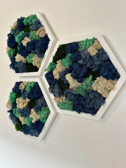 Moss Wall Art Decor | Handmade Wood Hexagon | Single Set to Six (8" x 9") | Preserved Lichen, Pole, Sheet Moss & Fern