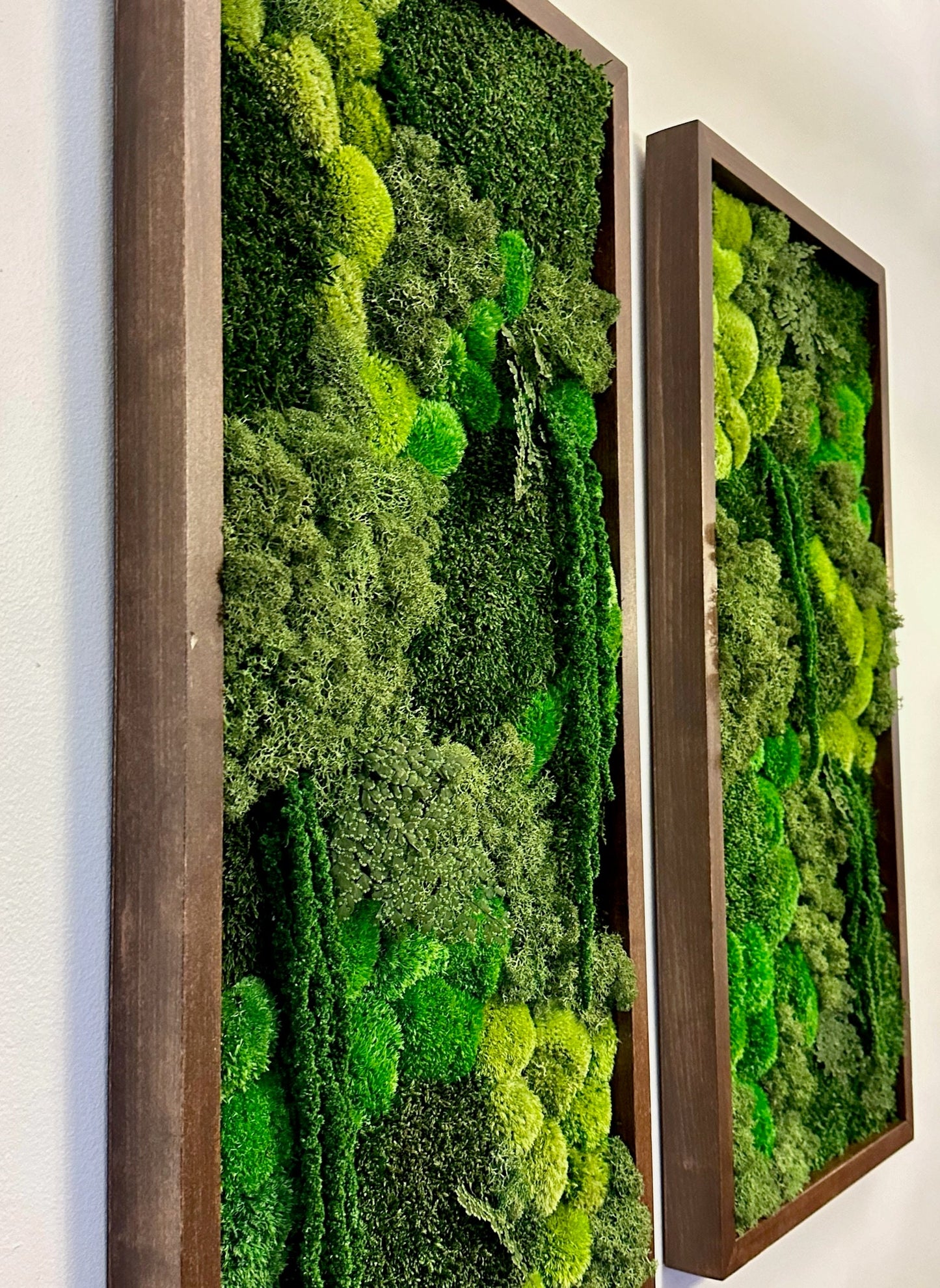 Preserved Reindeer Moss Wall Art: Wood Frame, Greenery Decor (15" x 30")