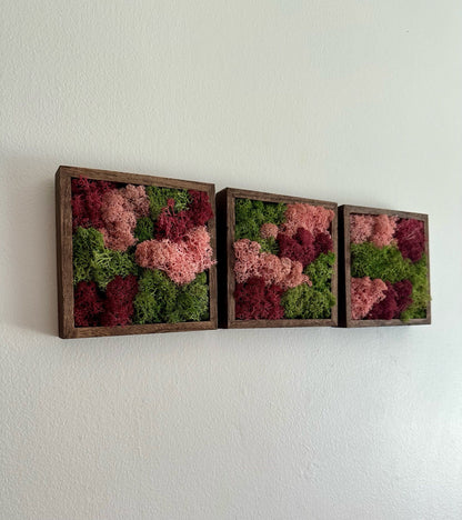 Moss Wall Art | Preserved Moss Art Framed | Moss Square Wood Frame  | Green and Pink