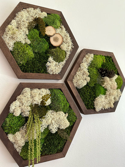 Handmade Reindeer Moss Wall Art: Hexagon Wood Frame, Preserved Moss Decor | USA - TARIFF FREE