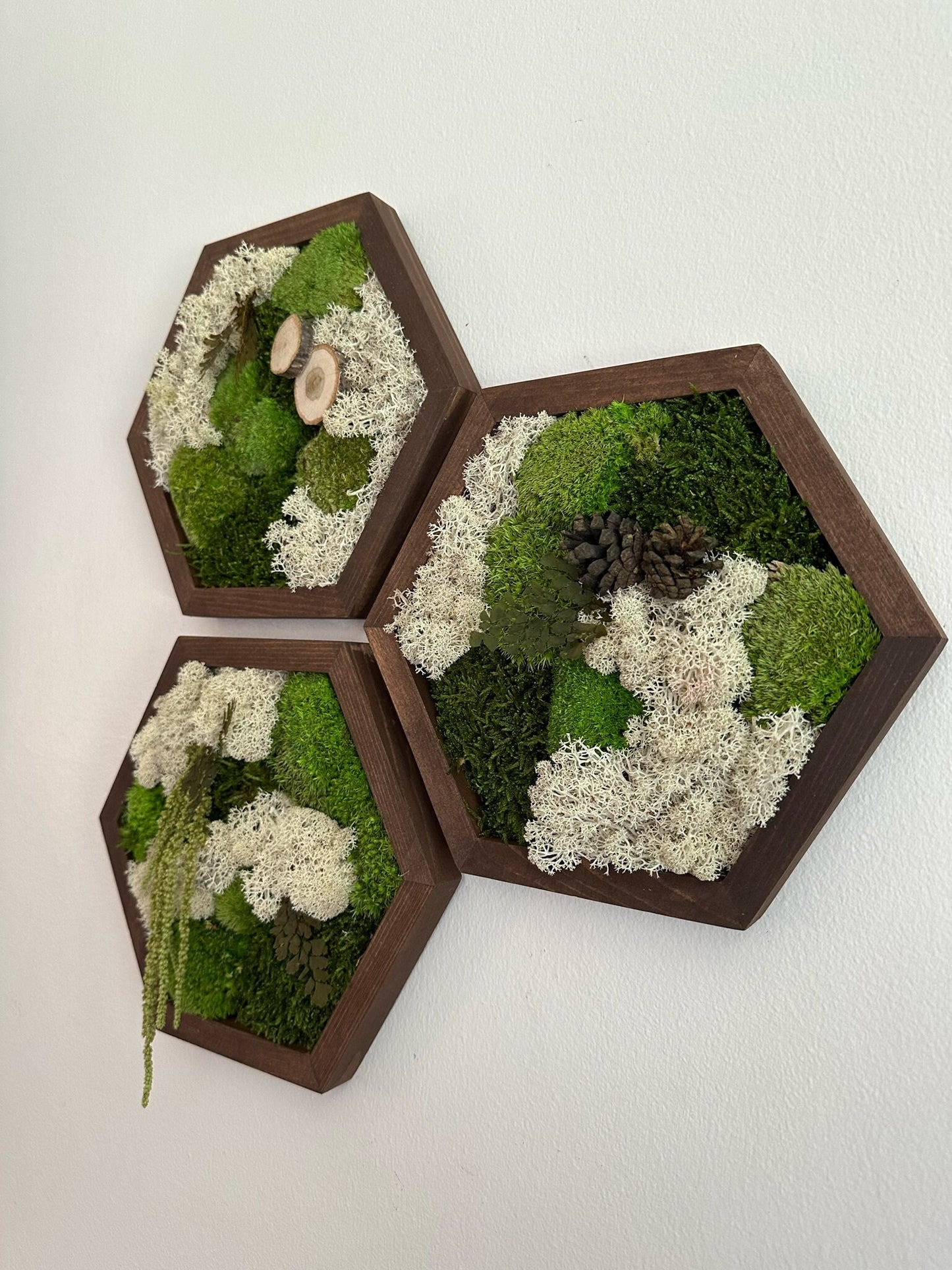 Handmade Reindeer Moss Wall Art: Hexagon Wood Frame, Preserved Moss Decor | USA - TARIFF FREE