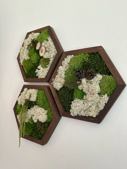 Handmade Reindeer Moss Wall Art: Hexagon Wood Frame, Preserved Moss Decor | USA - TARIFF FREE