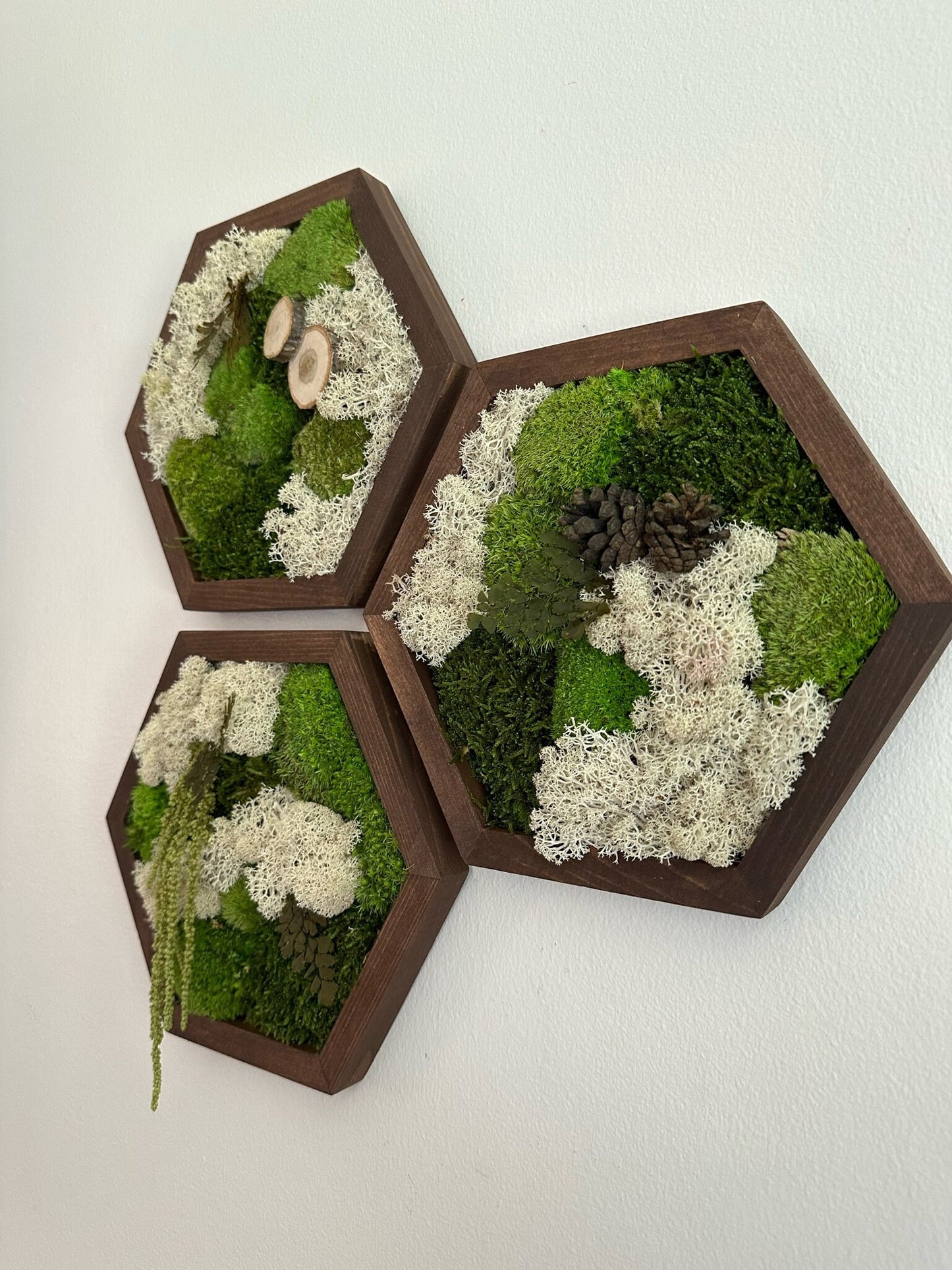 Handmade Reindeer Moss Wall Art: Hexagon Wood Frame, Preserved Moss Decor | USA - TARIFF FREE