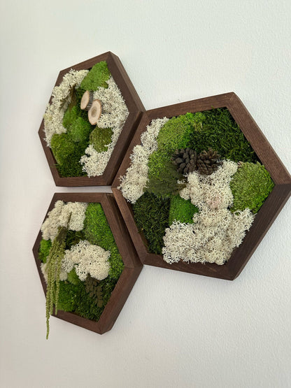 Handmade Reindeer Moss Wall Art: Hexagon Wood Frame, Preserved Moss Decor | USA - TARIFF FREE