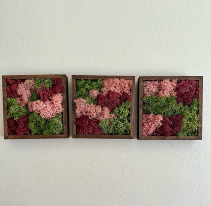 Moss Wall Art | Preserved Moss Art Framed | Moss Square Wood Frame  | Green and Pink