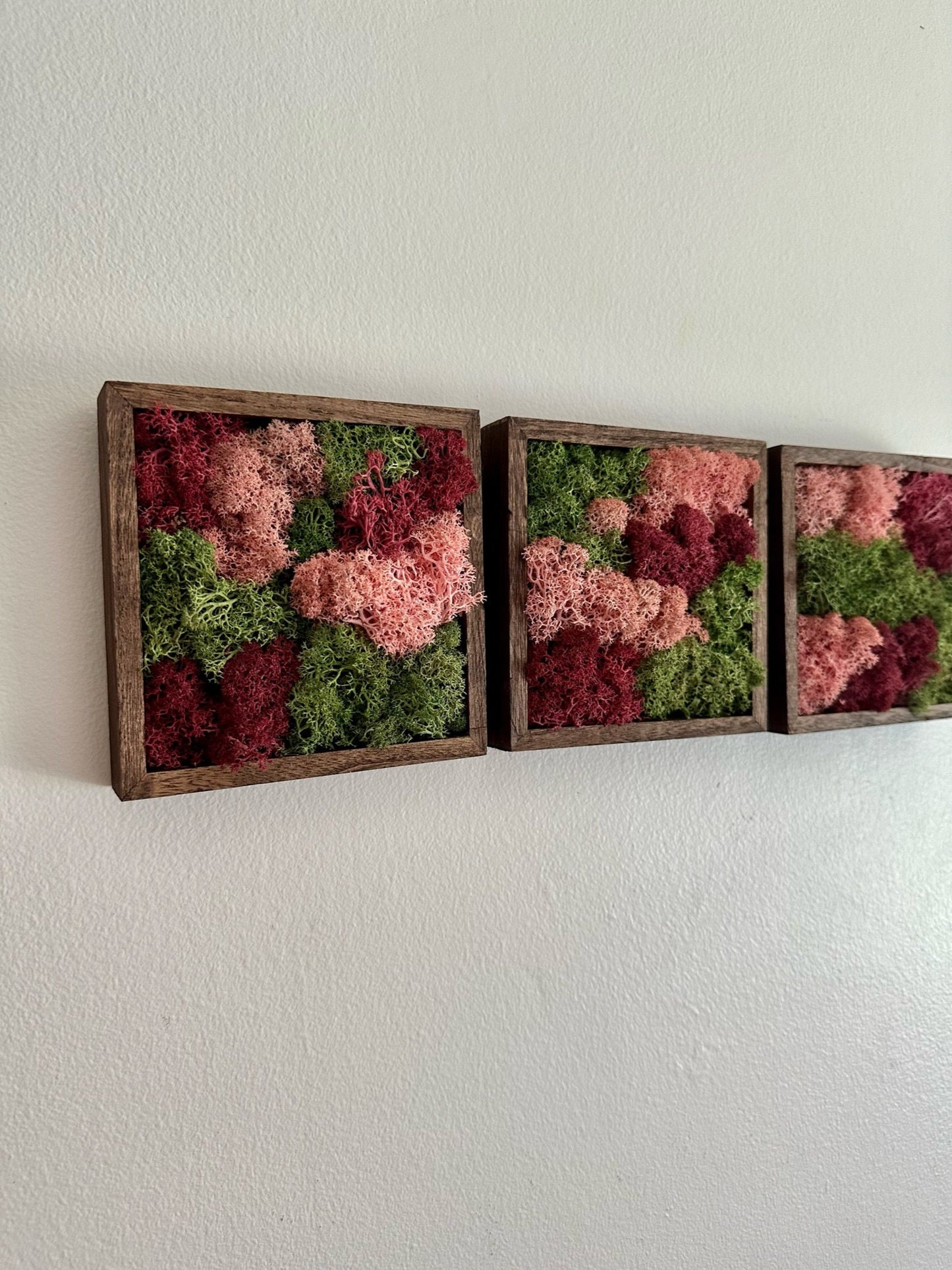 Moss Wall Art | Preserved Moss Art Framed | Moss Square Wood Frame  | Green and Pink