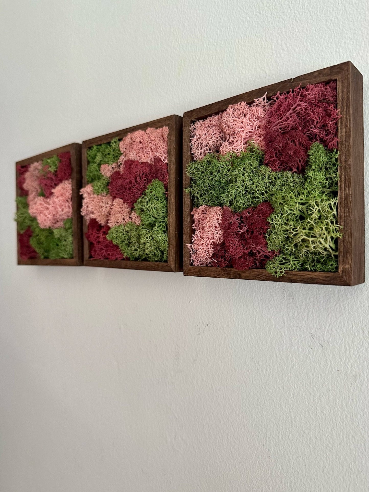 Moss Wall Art | Preserved Moss Art Framed | Moss Square Wood Frame  | Green and Pink
