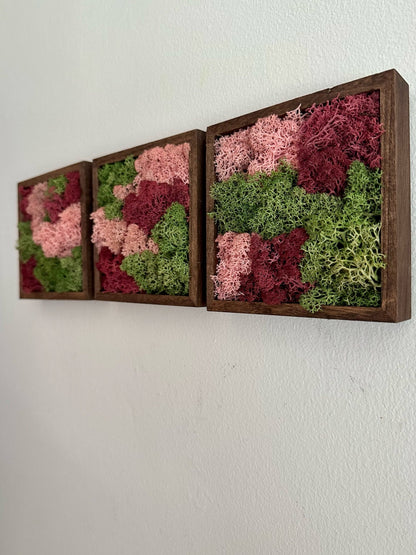 Moss Wall Art | Preserved Moss Art Framed | Moss Square Wood Frame  | Green and Pink