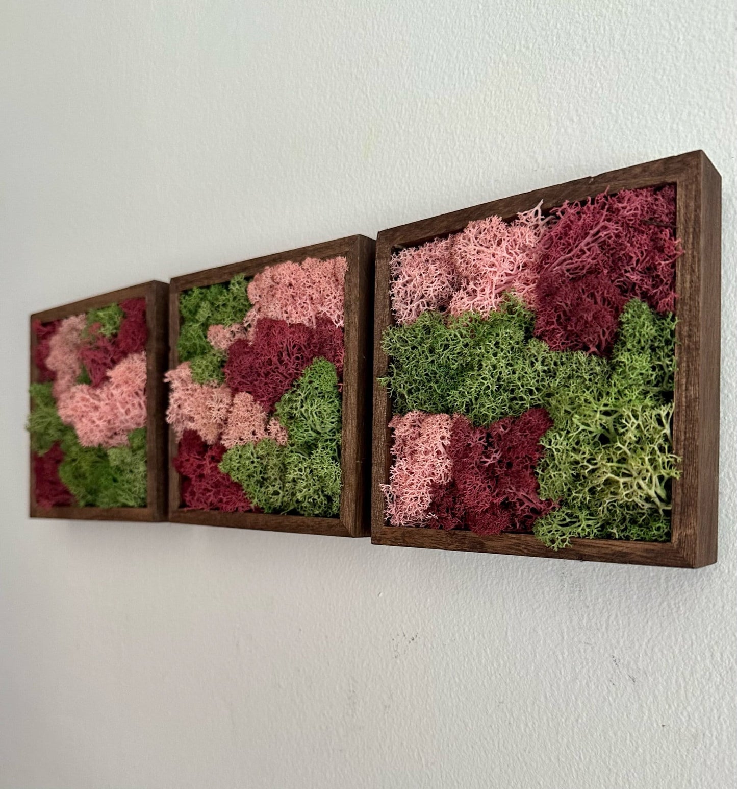 Preserved Reindeer Moss Wall Art: Green & Pink Wood Frame | USA - TARIFF FREE