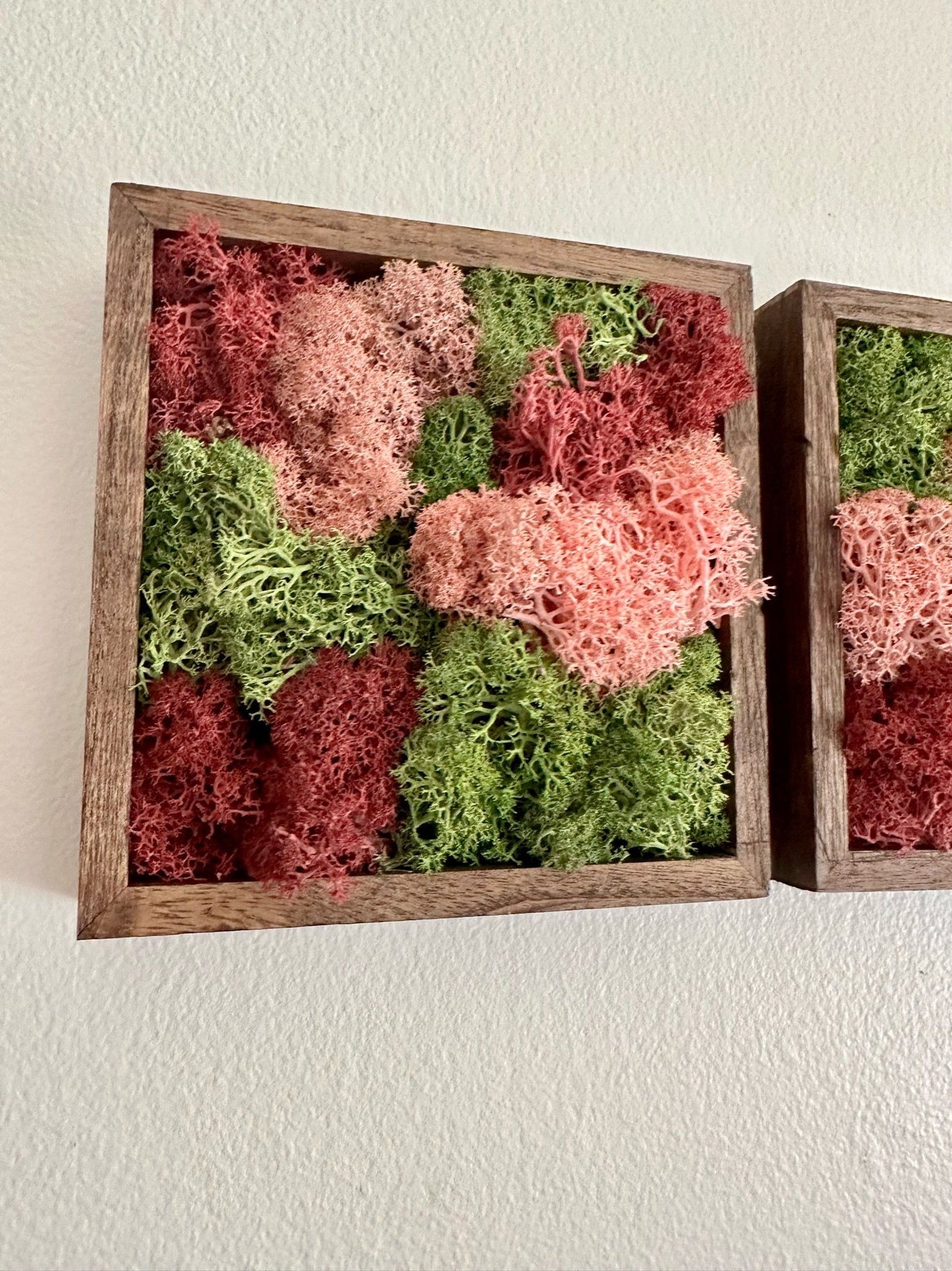Preserved Reindeer Moss Wall Art: Green & Pink Wood Frame | USA - TARIFF FREE