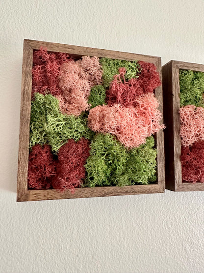 Preserved Reindeer Moss Wall Art: Green & Pink Wood Frame | USA - TARIFF FREE