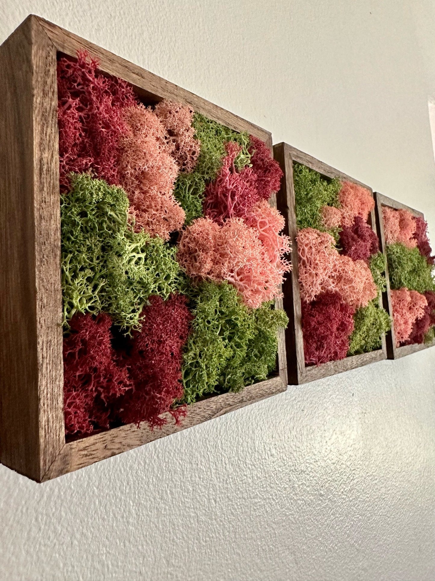 Preserved Reindeer Moss Wall Art: Green & Pink Wood Frame | USA - TARIFF FREE