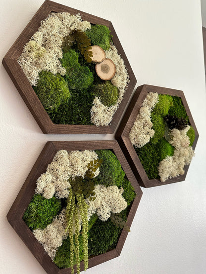 Handmade Reindeer Moss Wall Art: Hexagon Wood Frame, Preserved Moss Decor | USA - TARIFF FREE