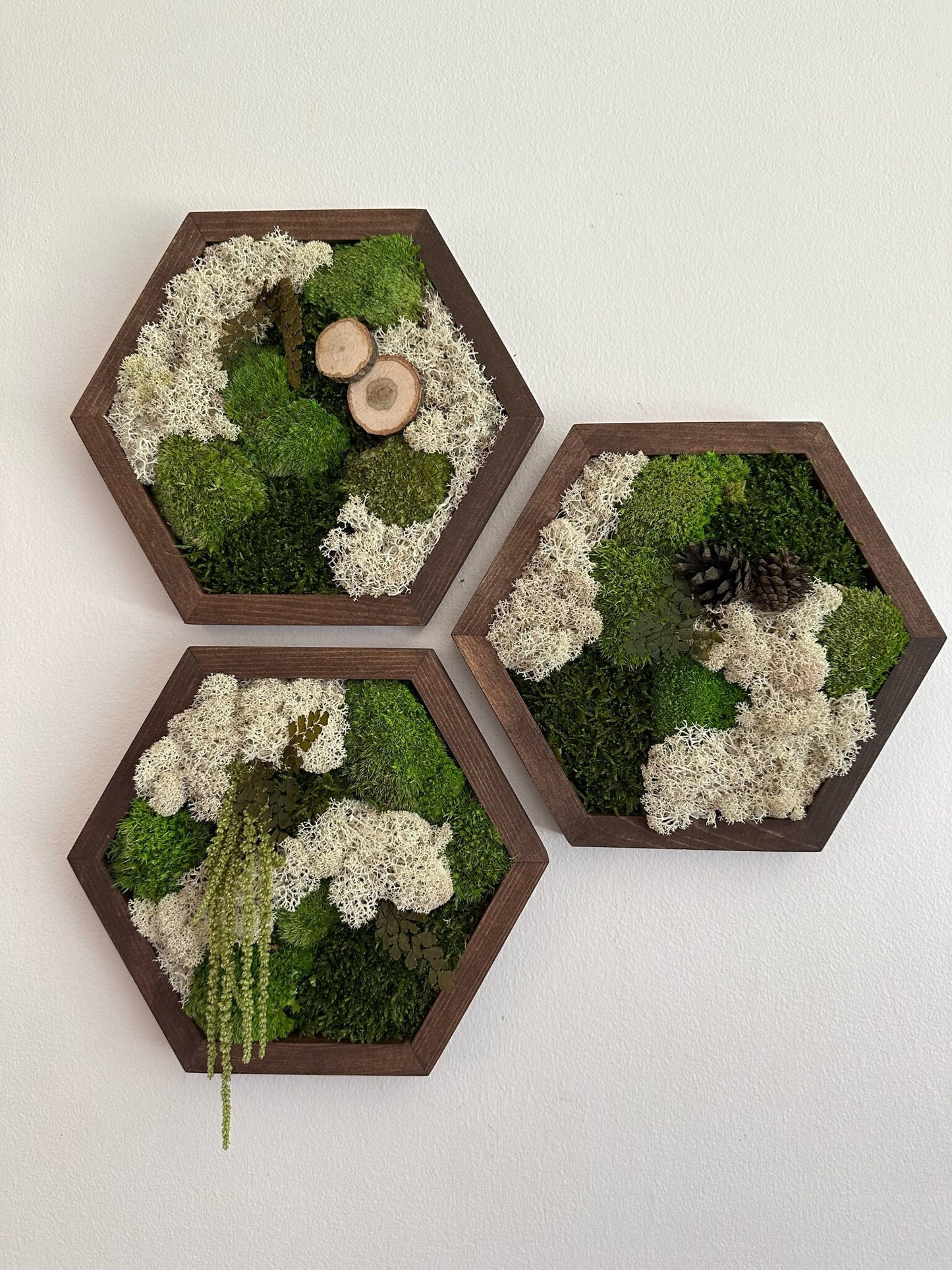 Handmade Reindeer Moss Wall Art: Hexagon Wood Frame, Preserved Moss Decor | USA - TARIFF FREE