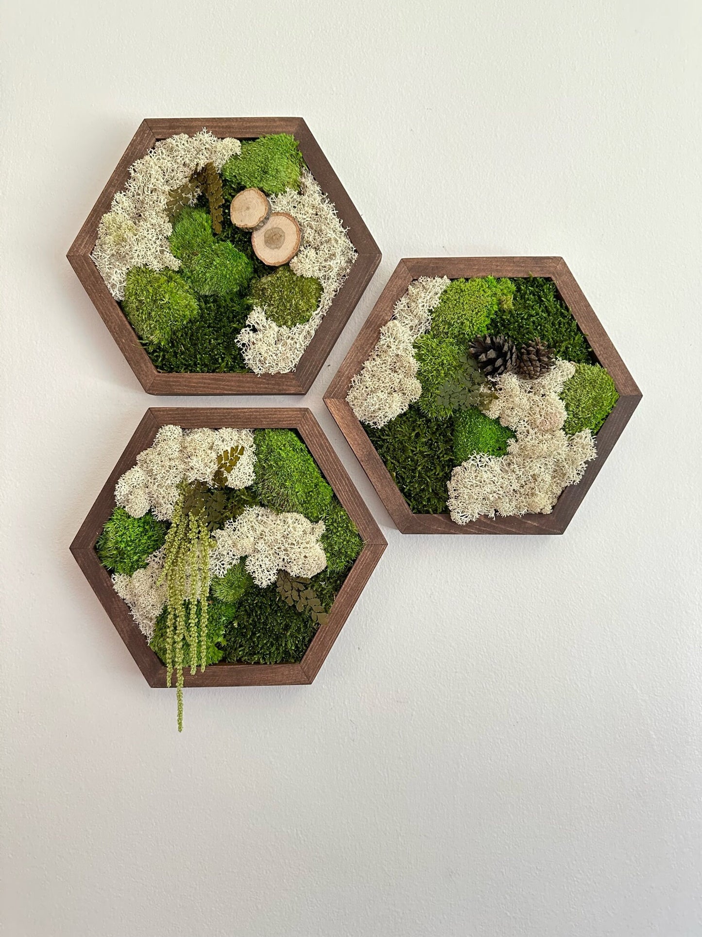 Handmade Reindeer Moss Wall Art: Hexagon Wood Frame, Preserved Moss Decor | USA - TARIFF FREE