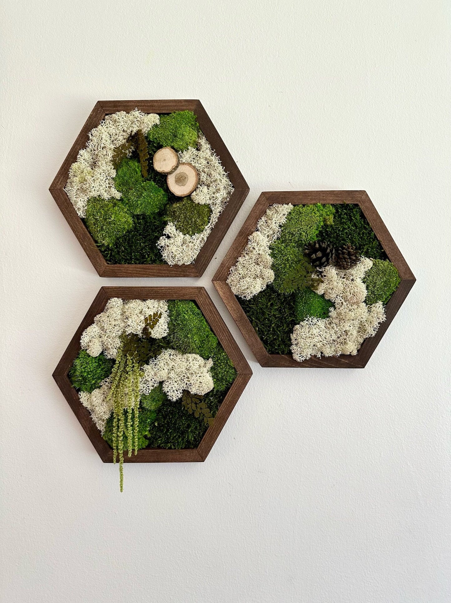Handmade Reindeer Moss Wall Art: Hexagon Wood Frame, Preserved Moss Decor | USA - TARIFF FREE
