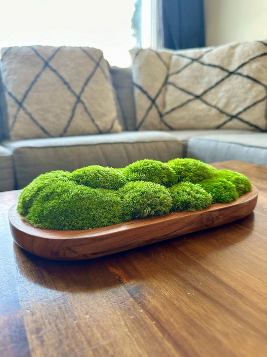 Moss Centerpiece | Pole Moss | Moss Planter | Preserved Moss Gift | Wood Nature Bowl | Green Pole Moss | Wedding Gift | Wedding Centerpieces