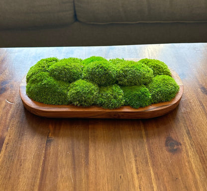 Moss Centerpiece | Pole Moss | Moss Planter | Preserved Moss Gift | Wood Nature Bowl | Green Pole Moss | Wedding Gift | Wedding Centerpieces