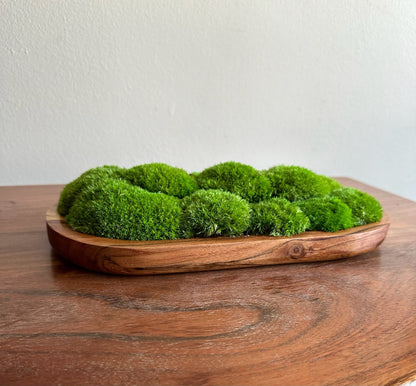 Moss Centerpiece | Pole Moss | Moss Planter | Preserved Moss Gift | Wood Nature Bowl | Green Pole Moss | Wedding Gift | Wedding Centerpieces