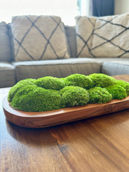 Moss Centerpiece | Pole Moss | Moss Planter | Preserved Moss Gift | Wood Nature Bowl | Green Pole Moss | Wedding Gift | Wedding Centerpieces