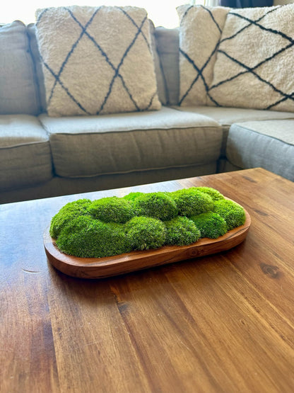 Moss Centerpiece | Pole Moss | Moss Planter | Preserved Moss Gift | Wood Nature Bowl | Green Pole Moss | Wedding Gift | Wedding Centerpieces