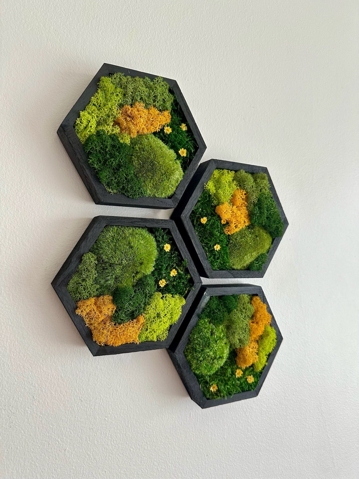 Honeycomb Moss Wall Art: Reindeer Moss in Wood Hexagon Frame | USA - TARIFF FREE