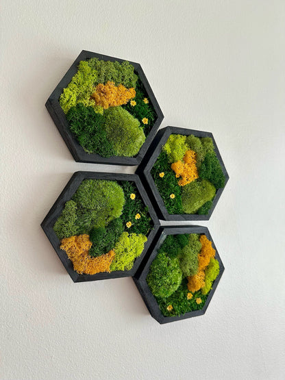 Honeycomb Moss Wall Art: Reindeer Moss in Wood Hexagon Frame | USA - TARIFF FREE