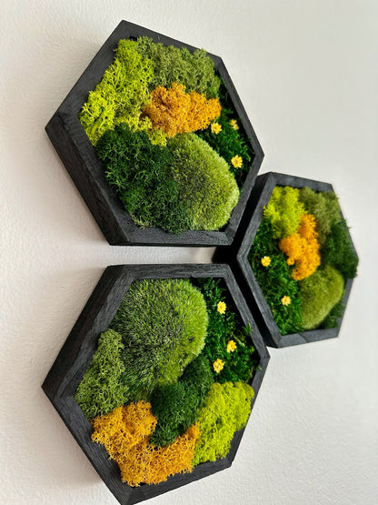Honeycomb Moss Wall Art: Reindeer Moss in Wood Hexagon Frame | USA - TARIFF FREE
