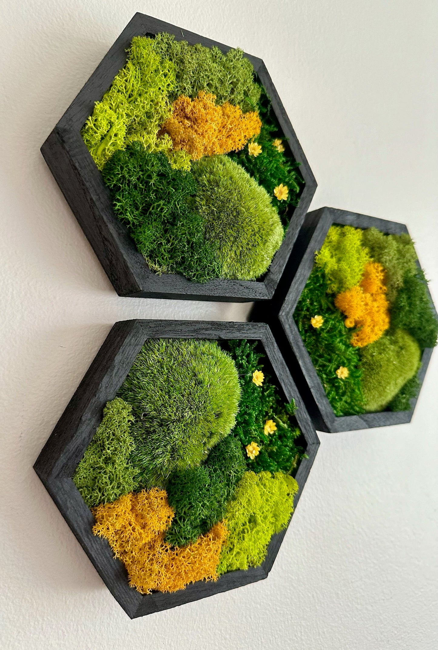 Honeycomb Moss Wall Art: Reindeer Moss in Wood Hexagon Frame | USA - TARIFF FREE