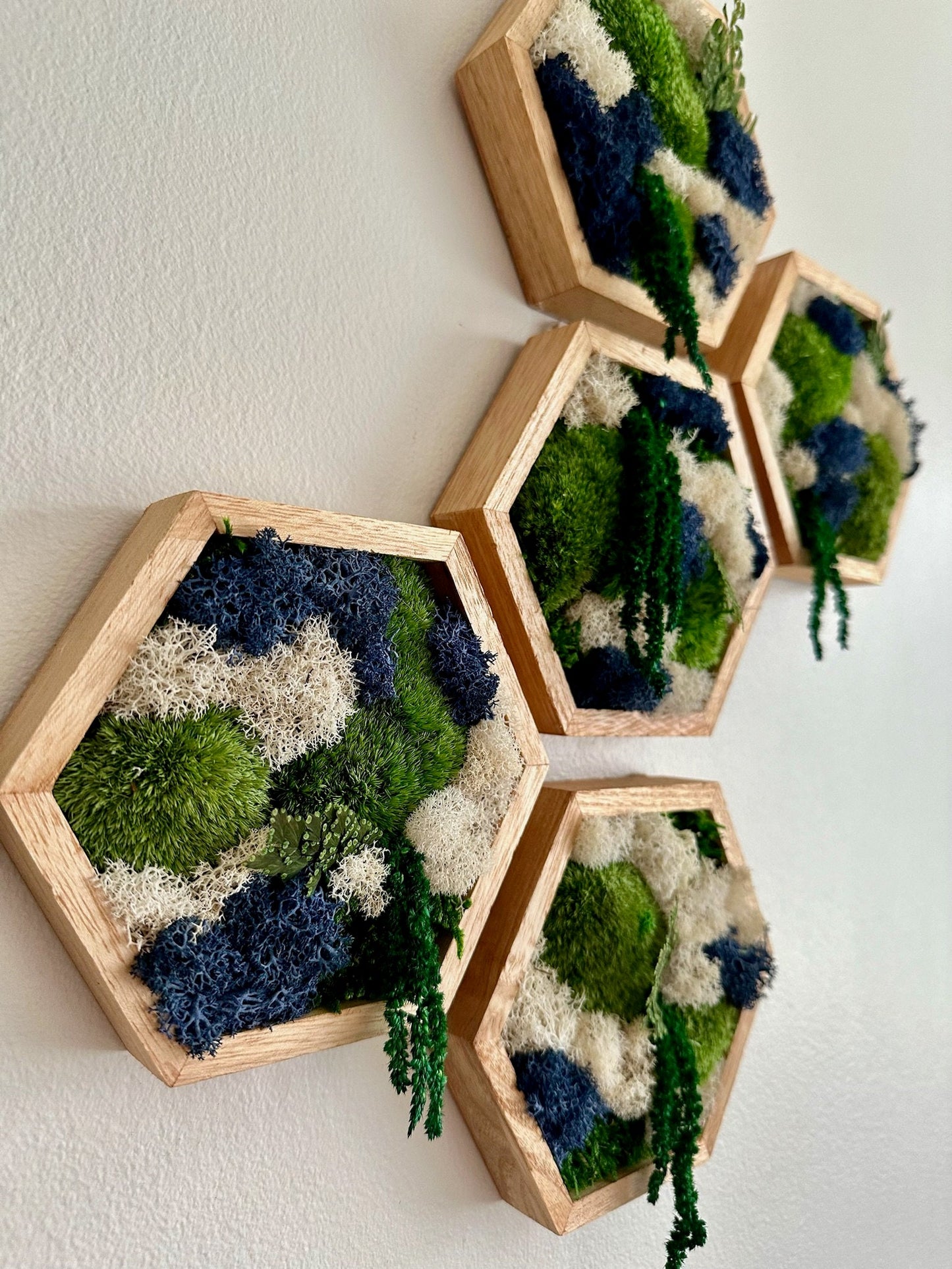Honeycomb Moss Wall Art: Reindeer & Pole Moss in Wood Hexagon | USA - TARIFF FREE